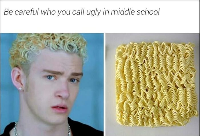 Be Careful Who You Call Ugly in Middle School (13 pics)
