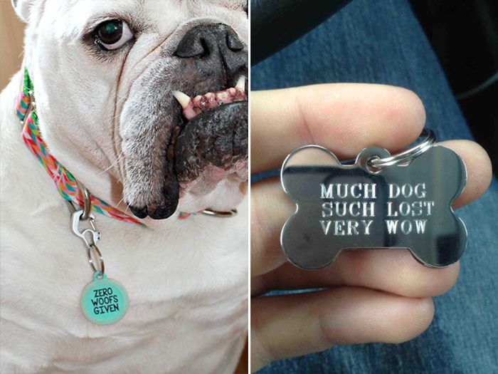 Funny Collar Tags For Pets (18 pics)
