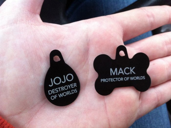 Funny Collar Tags For Pets (18 pics)
