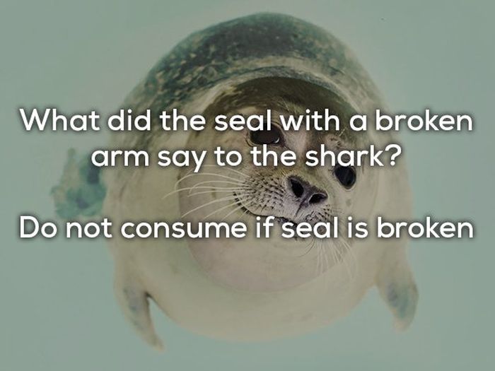 Dad Jokes (23 pics)