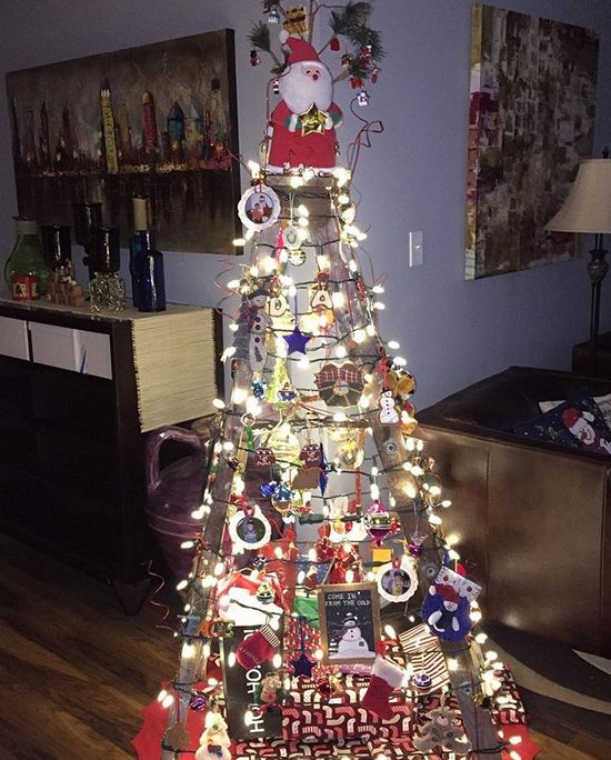 Ladder Christmas Trees (10 pics)