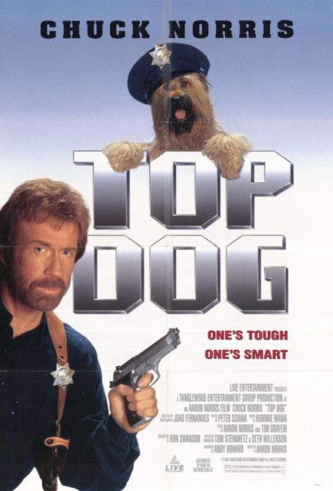 Posters For Films That Look Like Real Hack-Work (20 pics)