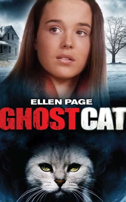 Posters For Films That Look Like Real Hack-Work (20 pics)