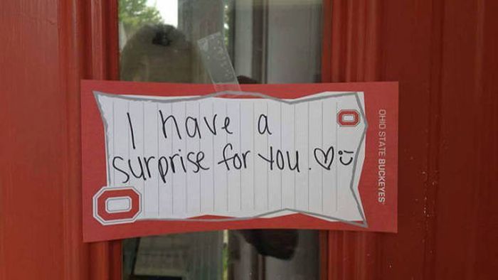 This Guy Knows How To Surprise His Girlfriend (7 pics)
