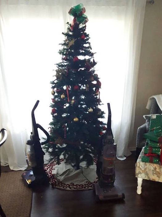 How To Save Your Christmas From Your Own Pets (36 pics)