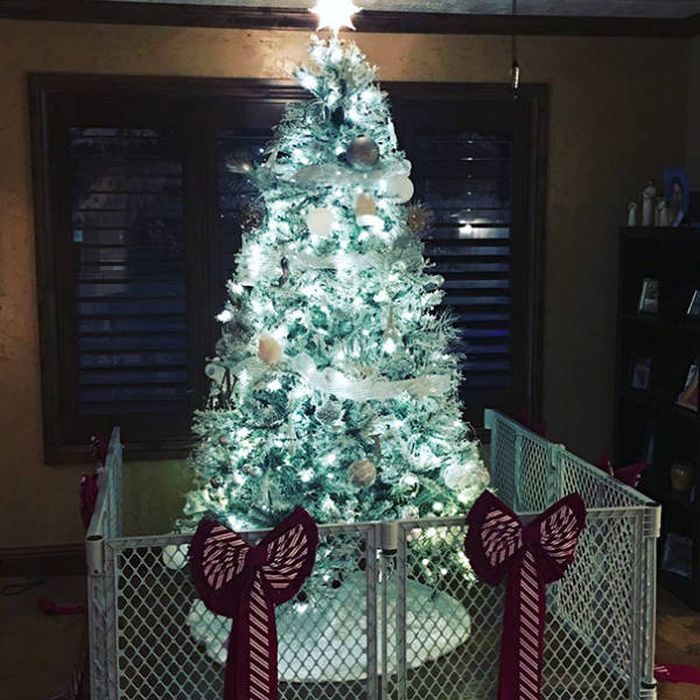 How To Save Your Christmas From Your Own Pets (36 pics)