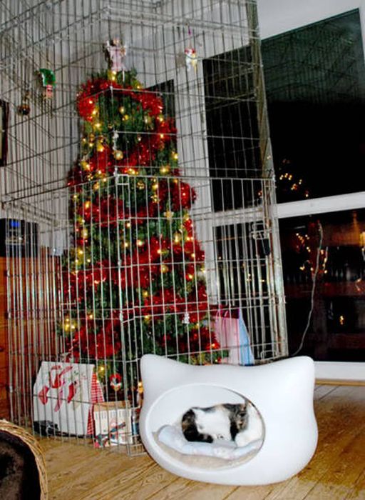 How To Save Your Christmas From Your Own Pets (36 pics)