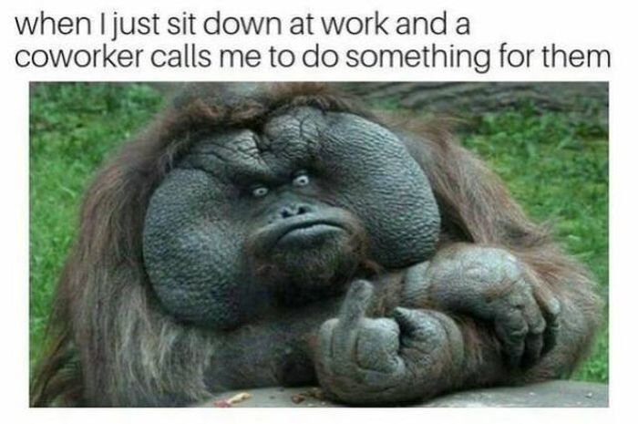 Work Memes And Fails (51 pics)