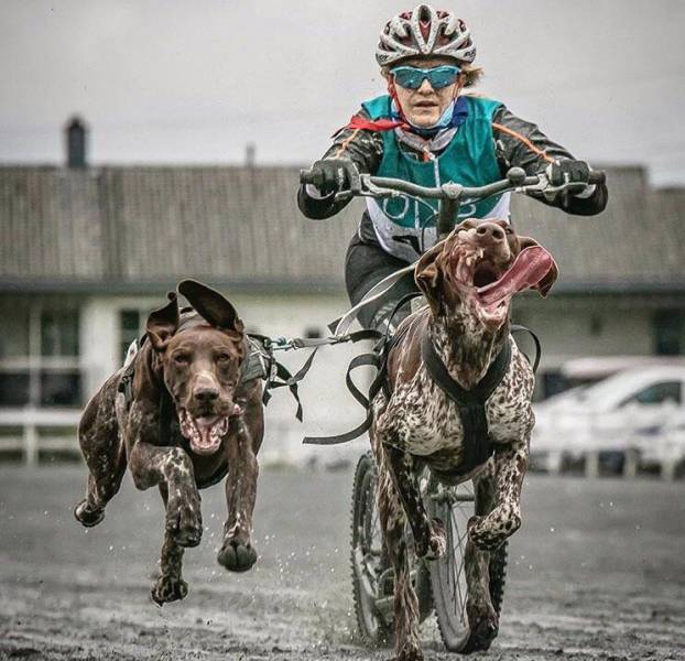 Acid Picdump (105 pics)