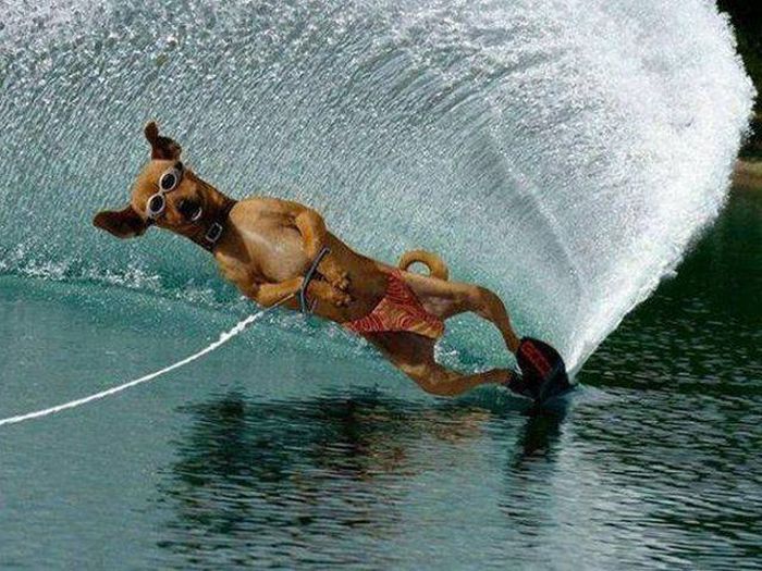 Acid Picdump (105 pics)