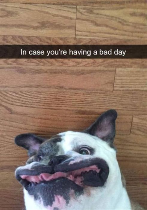 Funny Snapchats (25 pics)
