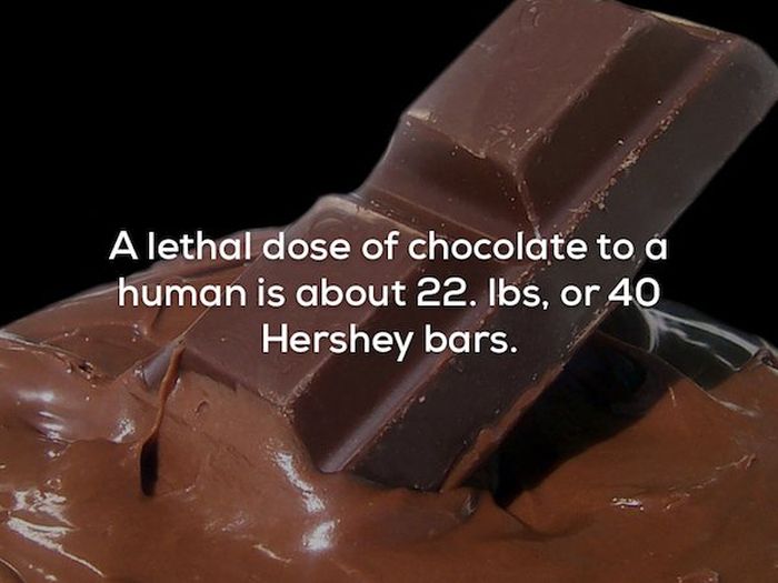 Creepy Facts (22 pics)