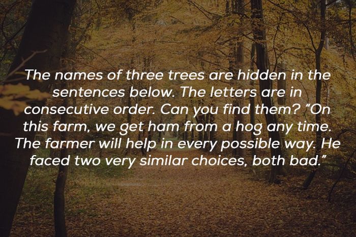 Nice Riddles (25 pics)