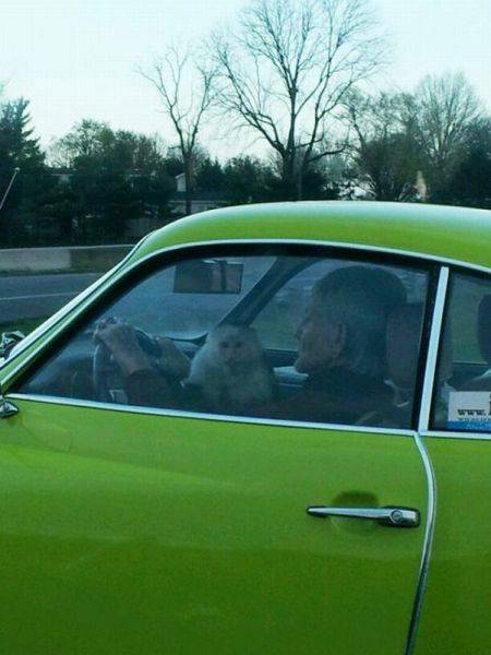 Acid Picdump (99 pics)