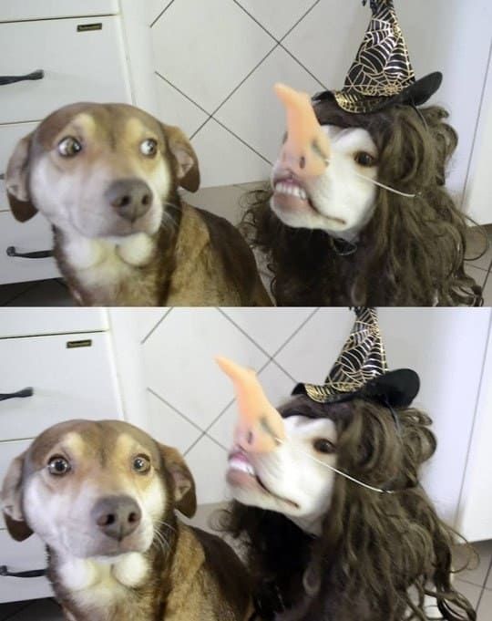 Acid Picdump (99 pics)