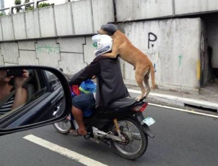 Acid Picdump (92 pics)