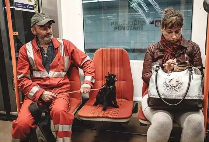 Acid Picdump (92 pics)