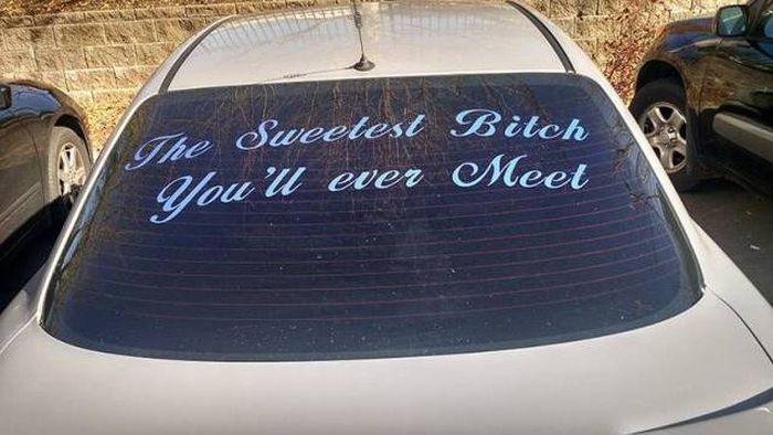 Acid Picdump (92 pics)