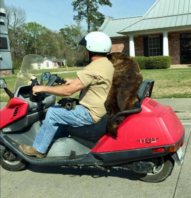 Acid Picdump (92 pics)