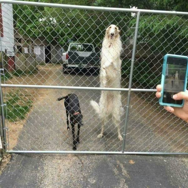 Acid Picdump (92 pics)
