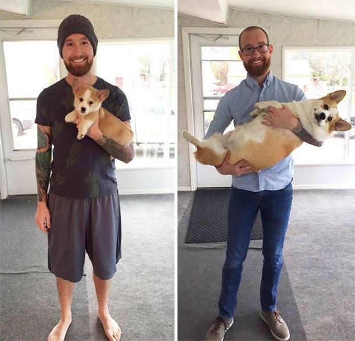 From Puppy To A Doggy (41 pics)
