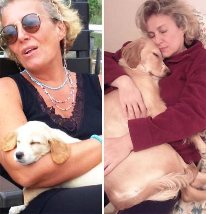 From Puppy To A Doggy (41 pics)