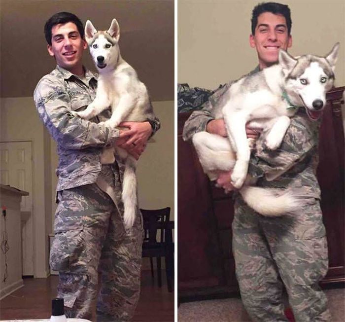From Puppy To A Doggy (41 pics)
