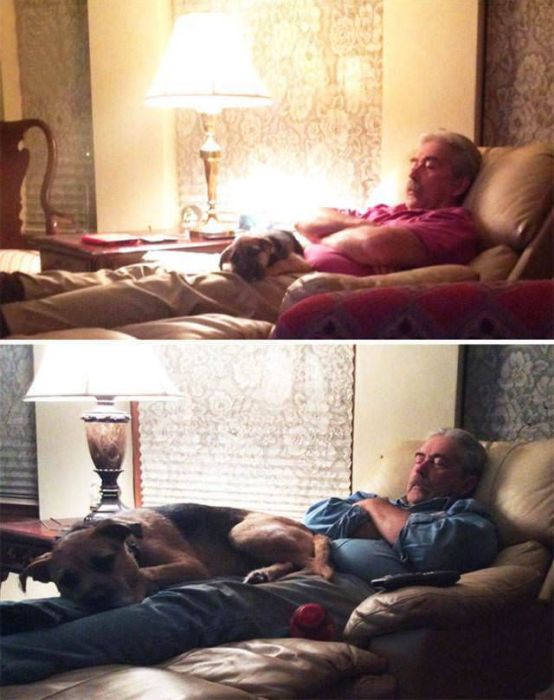 From Puppy To A Doggy (41 pics)