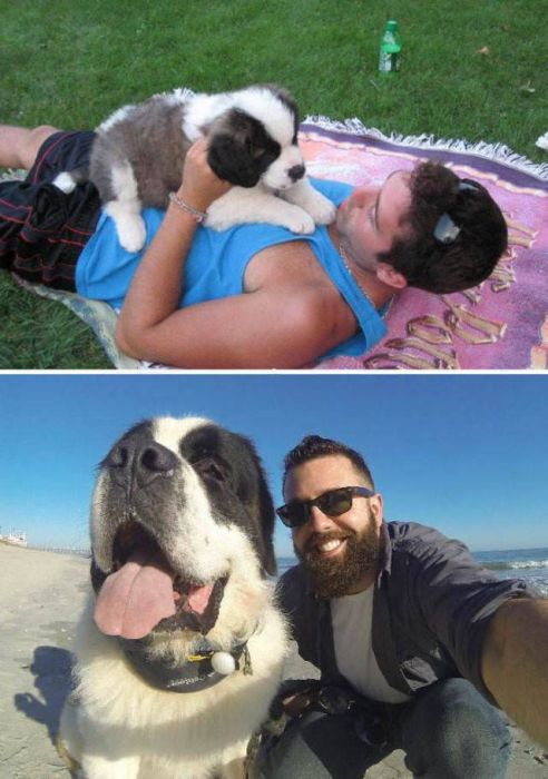 From Puppy To A Doggy (41 pics)