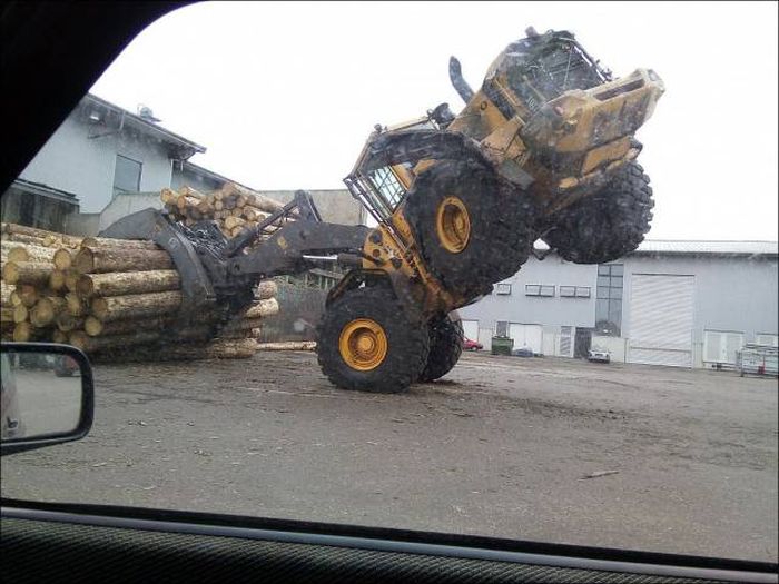 Acid Picdump (106 pics)