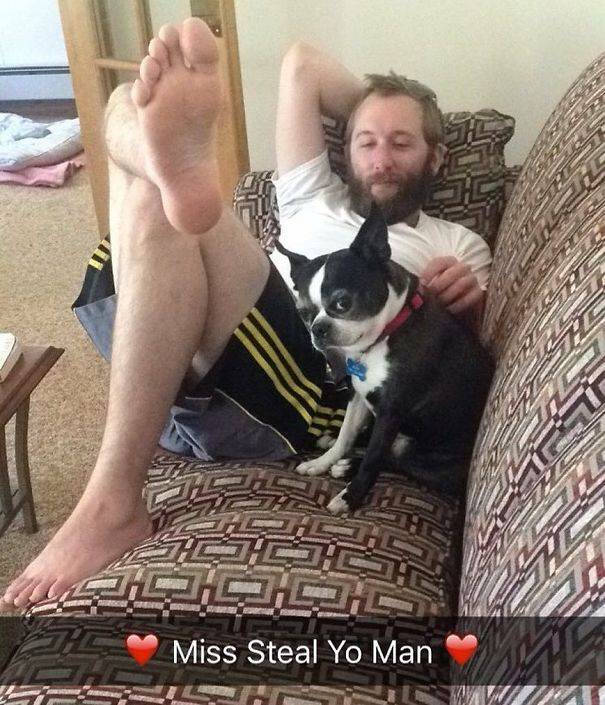 Be Careful, Or Your Pet Might Steal Your Partner (39 pics)