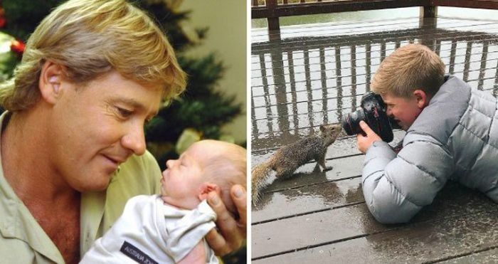 Steve's Son Irwin Followed In The Footsteps Of His Father (25 pics)