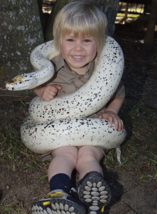 Steve's Son Irwin Followed In The Footsteps Of His Father (25 pics)