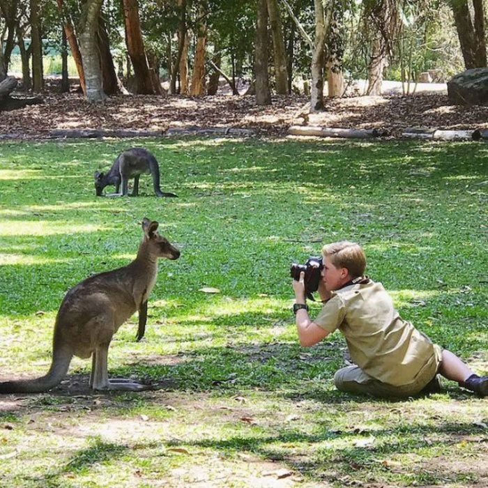Steve's Son Irwin Followed In The Footsteps Of His Father (25 pics)