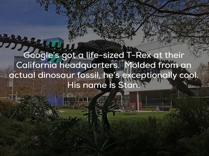Facts About Google (24 pics)