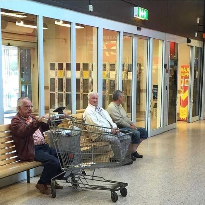 Husbands Shopping With Their Wives (31 pics)