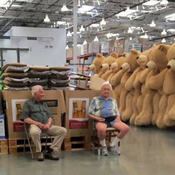 Husbands Shopping With Their Wives (31 pics)