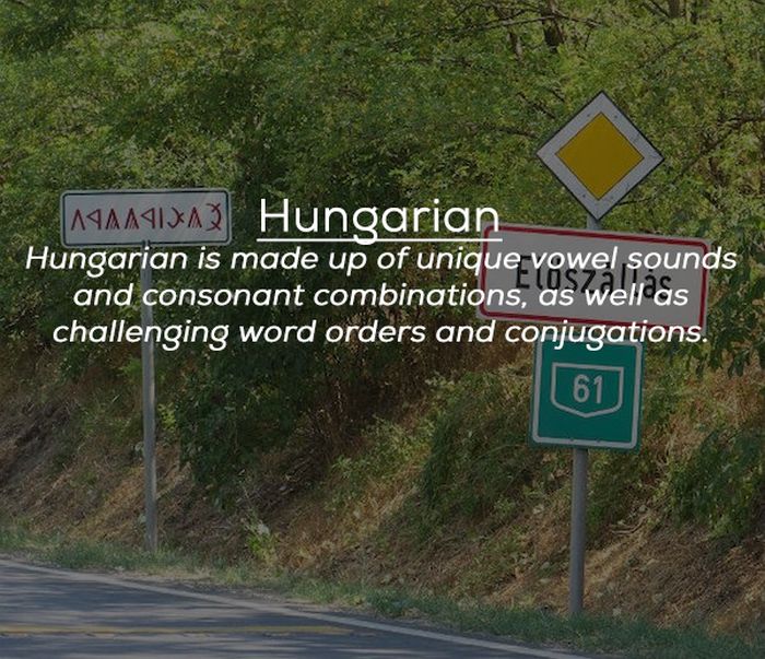 The Most Difficult Languages To Learn (23 pics)