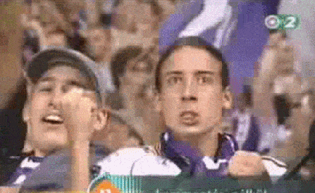 Funny Sports Fans (15 gifs)