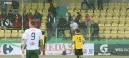 Funny Sports Fans (15 gifs)