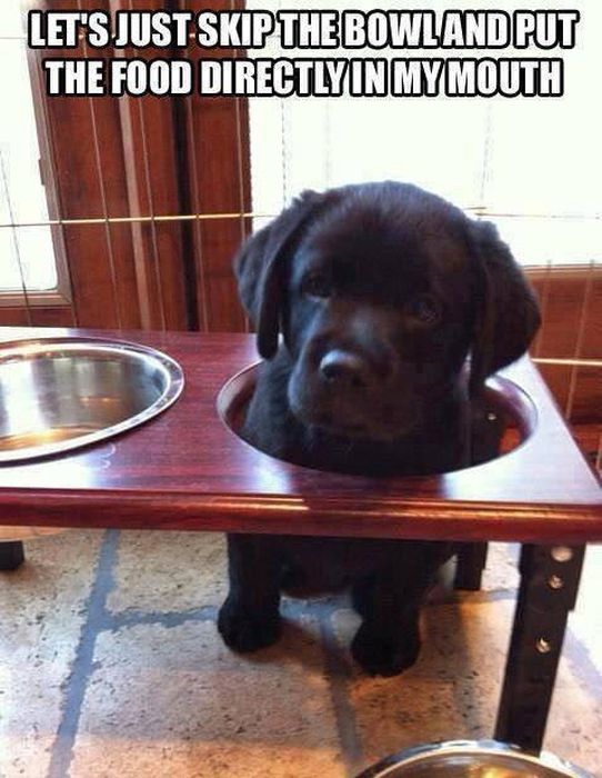 Acid Picdump (96 pics)