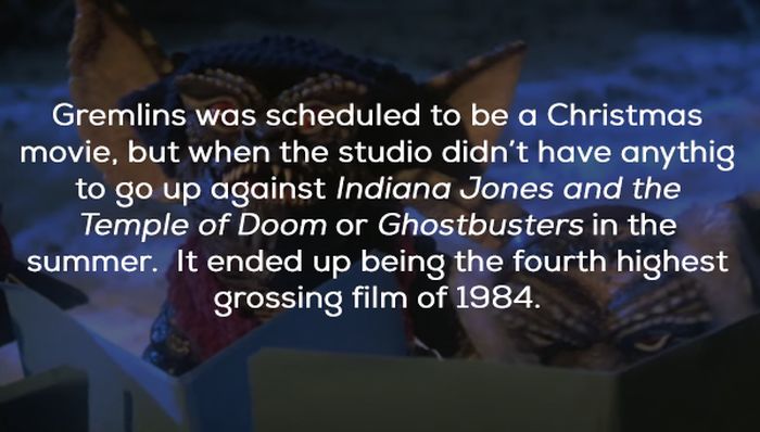Gremlins Movie Facts (21 pics)