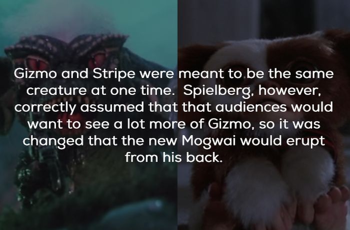Gremlins Movie Facts (21 pics)