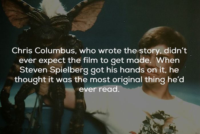 Gremlins Movie Facts (21 pics)