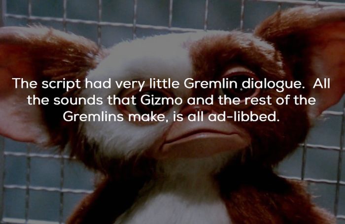 Gremlins Movie Facts 21 Pics 