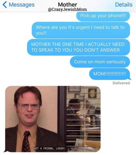 Crazy Jewish Mom (48 pics)