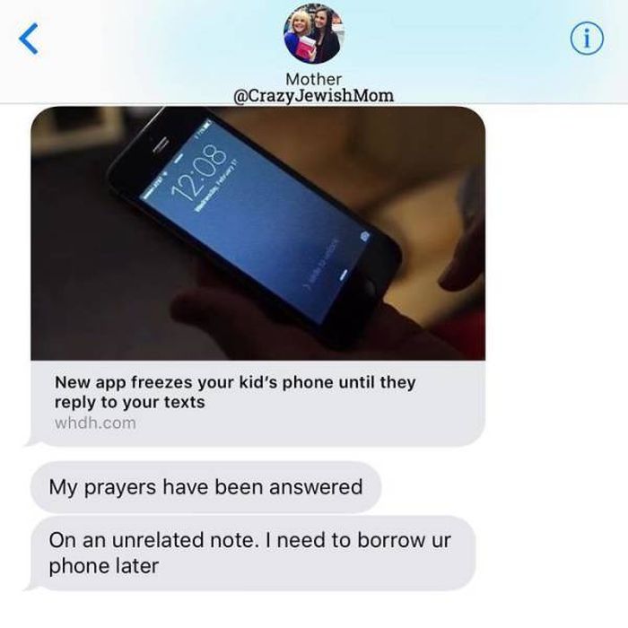 Crazy Jewish Mom (48 pics)