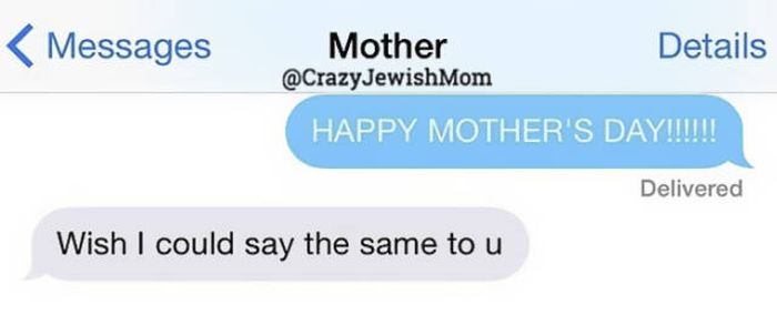 Crazy Jewish Mom (48 pics)