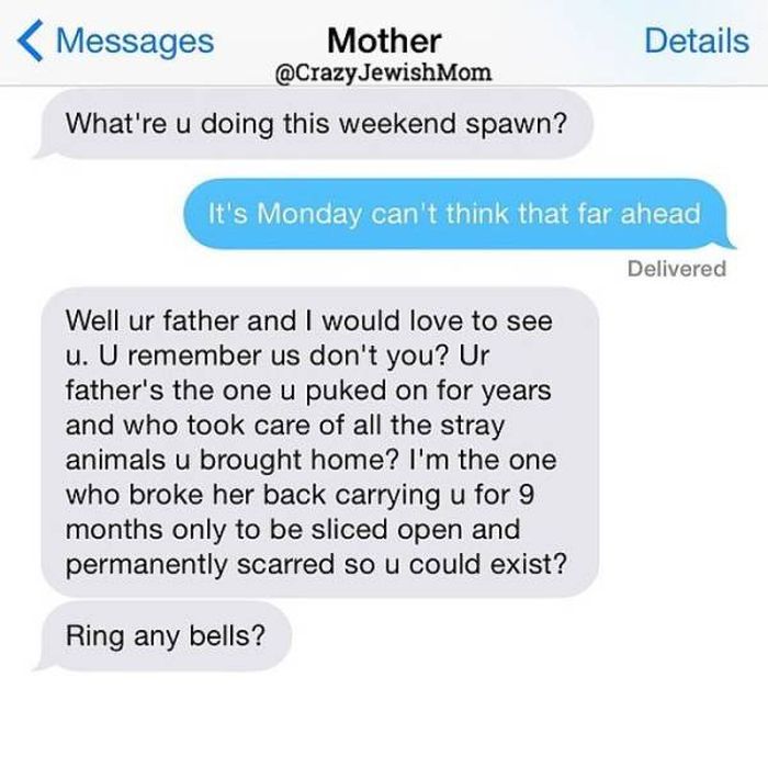 Crazy Jewish Mom (48 pics)