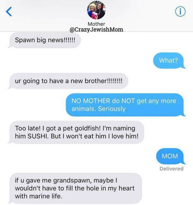 Crazy Jewish Mom (48 pics)